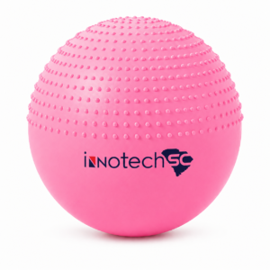 Yoga Exercise Ball with Pump